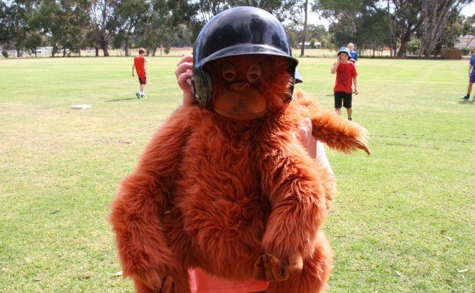 /uploaded_files/media/gallery/orangutan_day_16513_crop.jpg